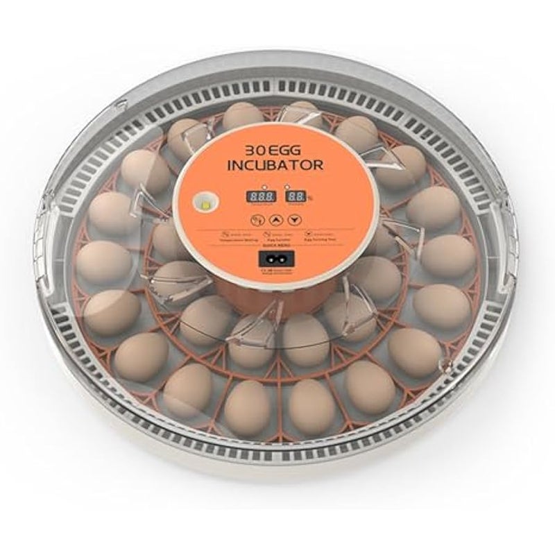 حاضنة 30 بيضة مع تدوير البيض التلقائي مع زجاجة مياه بالحقن الخارجي - الة تفقيس الدواجن الصغيرة المنزلية مع ضوء شمعة البيض للدجاج والبط والحمام والطيور (قابس امريكي) - Image 1